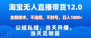 淘宝无人直播12.0，公域私域技术，不封号，不违规布局双十一流量风口，日入1k（独家技术）【揭秘】-最全资源库