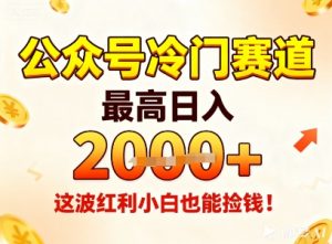公众号冷门赛道，最高日入1k+，这波红利小白也能捡钱！-最全资源库