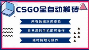 CSGO全自动搬砖，年底钱回家好项目，当天可拿到结果，新手小白轻松月入1W+【揭秘】-最全资源库
