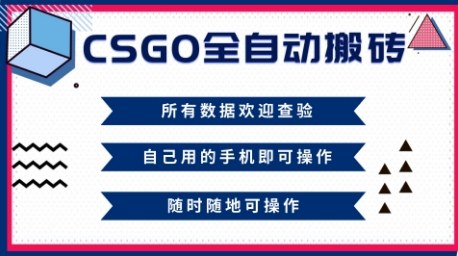 CSGO全自动搬砖，年底钱回家好项目，当天可拿到结果，新手小白轻松月入1W+【揭秘】-最全资源库