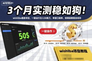 3个月实测稳如狗！wishlba最新项目，一键运行日入50美刀，单窗口躺挣，保姆级教程全给你【揭秘】-最全资源库