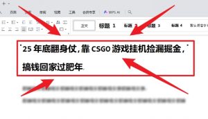 25年底翻身仗,靠CSGO游戏挂G捡漏掘金,搞钱回家过肥年【揭秘】-最全资源库