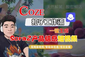 Coze扣子智能体工作流一键生成“SORA2产品信息“短视频，全流程保姆级教学-最全资源库