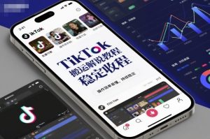 TikTok搬运解说教程，稳定收益，操作简单易懂，批量可做，持续稳定-最全资源库