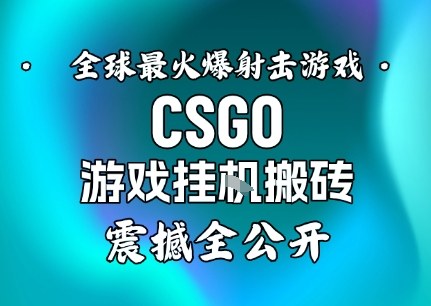 【年底大揭秘】基于全球最火爆的射击CSGO游戏挂G搬砖,日入5张+,震撼公开-最全资源库