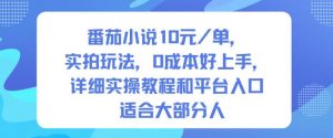 番茄小说10米每单，实拍玩法，0成本好上手，详细实操教程和平台入口适合大部分人-最全资源库