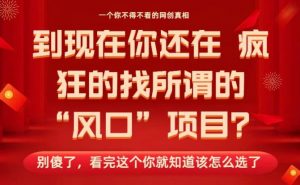 马上26年了，你还在找所谓的风口项目？别傻了，看完这个你全都懂了！【揭秘】-最全资源库