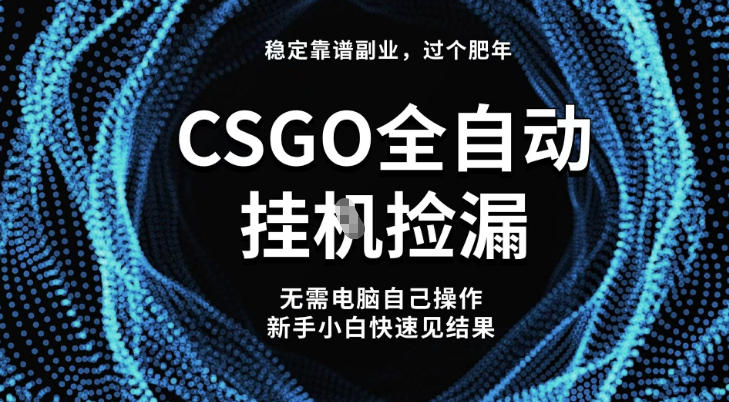 【稳定副业】全球最热门游戏CSGO全自动捡漏,最新玩法,新手小白日入5张+【揭秘】-最全资源库
