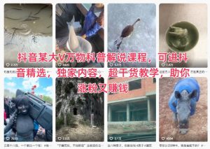 抖音某大V万物科普解说课程，可进抖音精选，独家内容，超干货教学，助你涨粉又賺钱-最全资源库