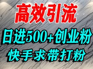 怎么打创业粉？快手求带视角精准引流创业粉，宝妈、学生群体日进500+精准流量-最全资源库