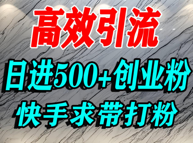 怎么打创业粉？快手求带视角精准引流创业粉，宝妈、学生群体日进500+精准流量-最全资源库