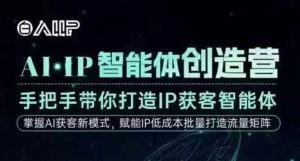 AI·IP智能体创造营，手把手带你打造IP获客智能体，高成交创始人IP课-最全资源库