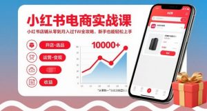 小红书电商实战课，小红书店铺从零到月入过1W全攻略，新手也能轻松上手-最全资源库