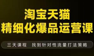 淘宝天猫精细化爆品运营（9月12-14杭州线下课），全方位拆解爆品打造逻辑【音频+字幕+文档】-最全资源库