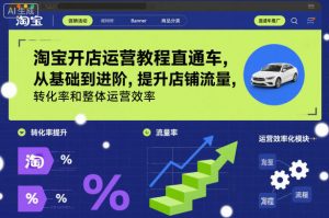 淘宝开店运营教程直通车，从基础到进阶，提升店铺流量，转化率和整体运营效率（更新11月）-最全资源库
