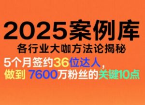 2025案例库，收录各行业大咖的方法论，各行业大咖方法论揭秘-最全资源库