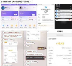 当天能收益的3个小项目拆解_包括平台+操作流程-最全资源库