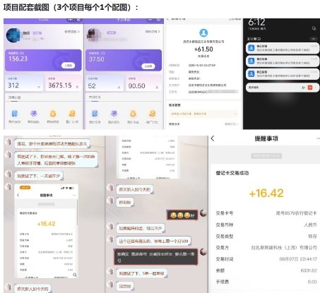 当天能收益的3个小项目拆解_包括平台+操作流程-最全资源库