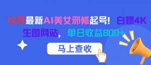 12月最新AI美女邪修起号！白嫖4K生图网站，单日收益8张+-最全资源库