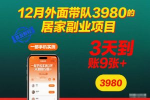 12月外面带队3980的居家副业项目，一部手机实测3天到账9张+，首发教程【揭秘】-最全资源库