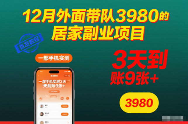 12月外面带队3980的居家副业项目，一部手机实测3天到账9张+，首发教程【揭秘】-最全资源库