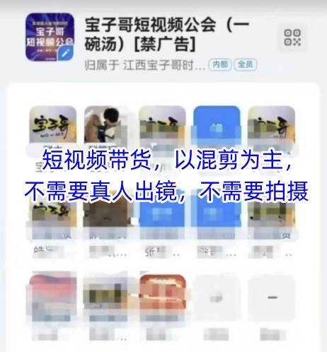 宝子哥头部团队短视频带货，以混剪为主，不需要真人出镜，不需要拍摄【更新11月】-最全资源库