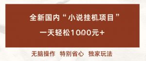 全新国内小说挂G项目，多窗口无脑跑，一天轻松1k+，特别省心【揭秘】-最全资源库