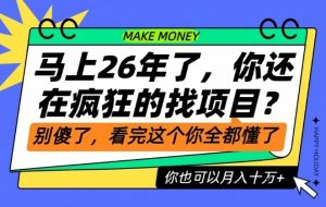 26年了，不要再疯狂的找项目了，看完这个你也可以月入十个W【揭秘】-最全资源库