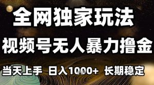 年底最新独家视频号无人直播撸礼物，小白也能轻松日入1k+，长期稳定，可批量复制【揭秘】-最全资源库
