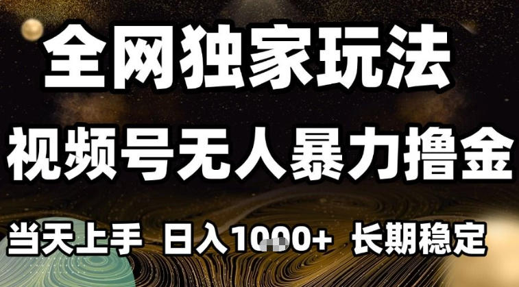 年底最新独家视频号无人直播撸礼物，小白也能轻松日入1k+，长期稳定，可批量复制【揭秘】-最全资源库