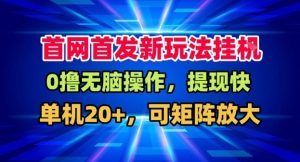全网首发挂G，盒子自动賺米，单机20+，可矩阵放大，长期稳定运营【揭秘】-最全资源库