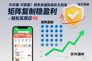 不内卷不踩雷！拼多多虚拟品长久玩法，矩阵复制稳盈利，轻松实现日1K【揭秘】-最全资源库