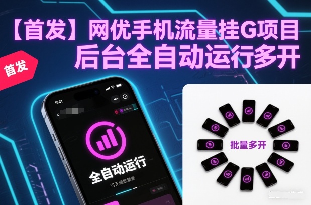 【首发】网优手机流量挂G项目，后台全自动运行，可无限批量多开【揭秘】-最全资源库