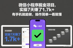 微信小程序掘金项目，实操7天賺了1.7k+，有手机就能做，操作简单一看就懂【揭秘】-最全资源库
