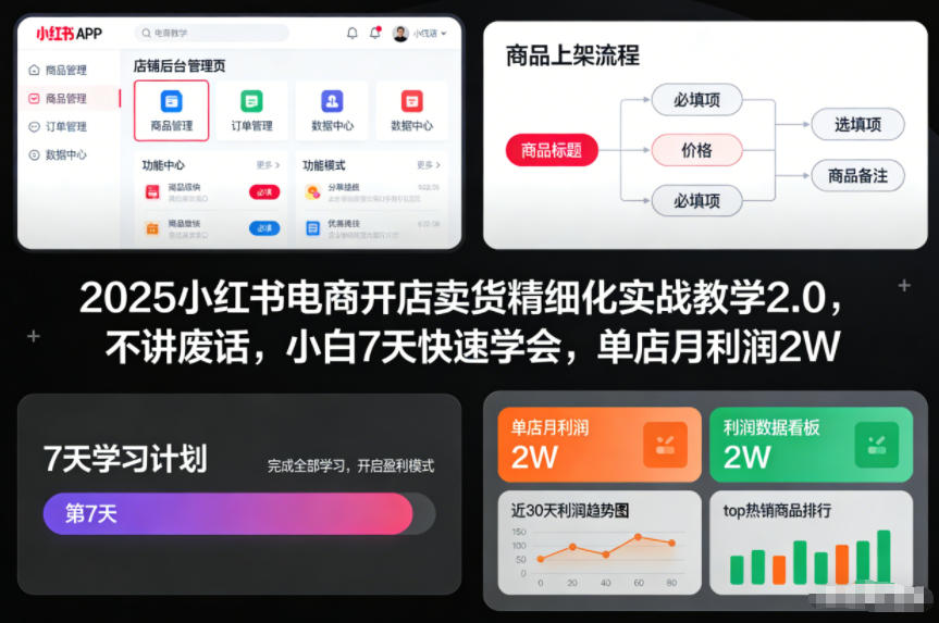 2025小红书电商开店卖货精细化实战教学2.0，不讲废话，小白7天快速学会，单店月利润2W-最全资源库