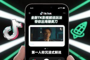 TikTok第一人称影视解说教学，全新TK影视解说玩法，带你出海賺美刀-最全资源库