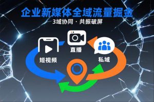 短视频全域商业模式，企业新媒体全域流量掘金，3域协同，共振破屏，短视频-直播-私域-地域-最全资源库