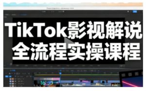 TikTok影视解说全流程实操，手把手教你打造TK爆款解说视频-最全资源库