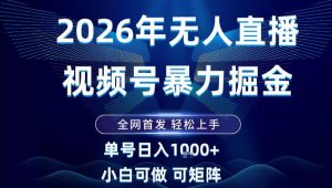 2026最新视频号无人直播掘金，全网首发，小白可以玩，长期稳定日入1k+【揭秘】-最全资源库