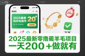 2025最新零撸薅羊毛项目，纯手机操作，20秒一单，无任何门槛，一天200+做就有【揭秘】-最全资源库