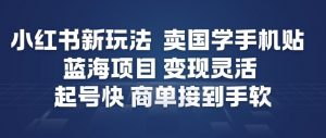 小红书新玩法，卖国学手机贴，蓝海项目，变现灵活，起号快，商单接到手软-最全资源库