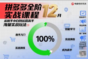 拼多多全阶实战课程12月，从新手小白到运营高手，海量实战玩法-最全资源库