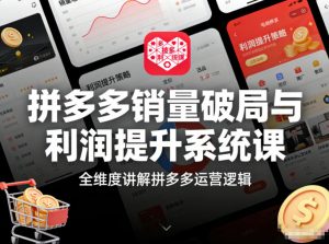 拼多多销量破局与利润提升系统课，全维度讲解拼多多运营逻辑-最全资源库