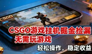 CSGO游戏挂G掘金捡漏，不需要玩游戏，操作简单，收益稳定【揭秘】-最全资源库
