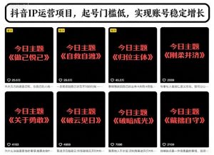抖音IP运营项目，抖音今日主题玩法，起号门槛低，实现账号稳定增长-最全资源库