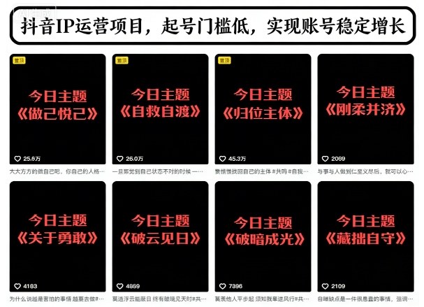 抖音IP运营项目，抖音今日主题玩法，起号门槛低，实现账号稳定增长-最全资源库