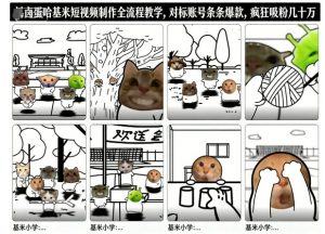 卤蛋哈基米短视频制作全流程教学，条条爆款，疯狂吸粉几十万-最全资源库