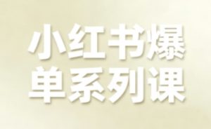 小红书爆单系列课，聚焦小红书电商全链路增长（更新）-最全资源库