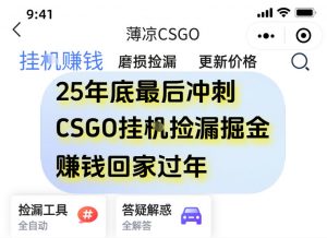 12月年底抓紧最后一个月，用CSGO游戏挂G捡漏掘金賺钱掘金，一部手机轻松日入5张+【揭秘】-最全资源库