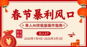春节暴利风口项目，单人AI落地翻身终极版实操-最全资源库